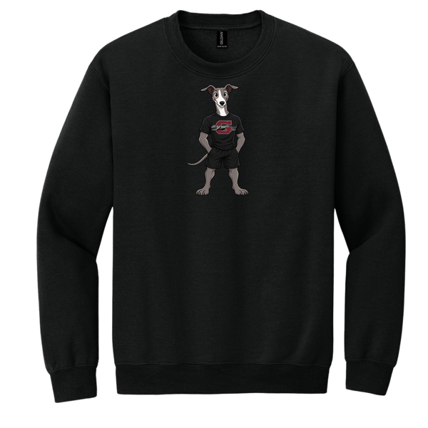 Greyhound boy 